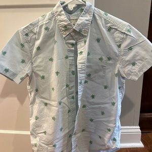 Boys crew cuts button down shirt. Pale blue w pale green turtles